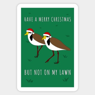 Masked Lapwing Plover Christmas Sticker